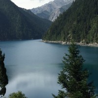 曾嘉龙