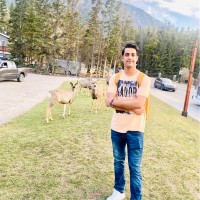 Mohsin Karim