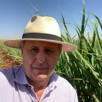 João Paulo Pivetta