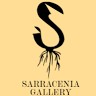 Sarracenia Gallery