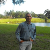 David Freeman