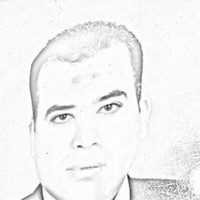 Alaa Anis