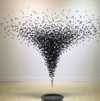 김보하