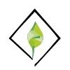 Agrovalue Consultora