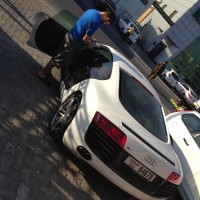 yasser mammeri