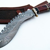 Z Sapra