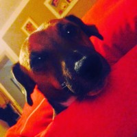 Ahmed Bensada