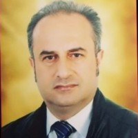 mohammad bagherzadeh
