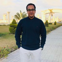 Amr Fathy Elhanafy