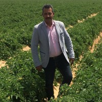 Mohamed Elkhodery