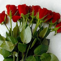 Neetu Sharma