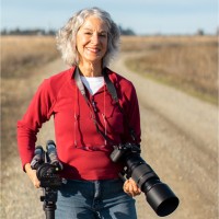 Michele McCormick