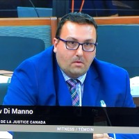 Andrew Di Manno