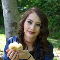 Macey Cheatham