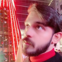 Rishabh P.