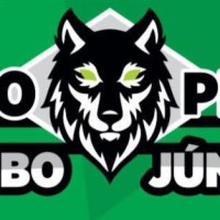 Auto Peças Lobo JR