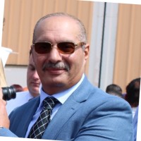 Hany George