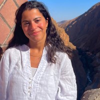 Shereen Haddad