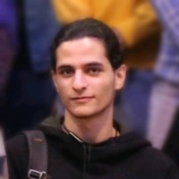 Amir M. Mohamadi