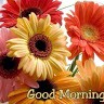 Mohammad Aslam