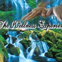 Wellness Experience