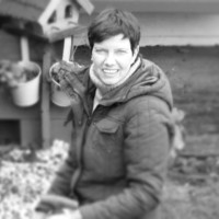 Beate Schlichting