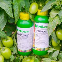 AGROVAL el especialista en nutrición vegetal