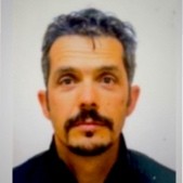 daniele iob