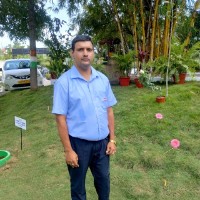 A Vinay Kumar
