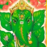 Dipesh Maniar