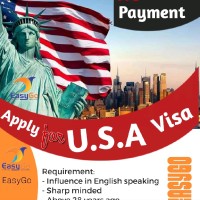 EasyGo Visa Consultant