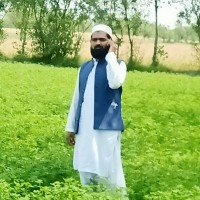 Mahmood Umar
