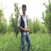 Naweed Maqsoodi