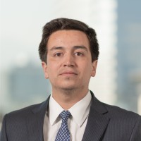 Jaime Armijo Adonis, Cfa