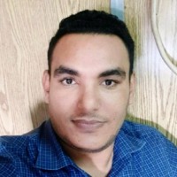Walid K.