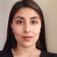 Evelyn Vigo Saldaña