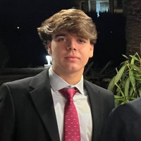 Raúl Llopis