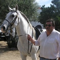 coudelariaria ribeirinhoparalta