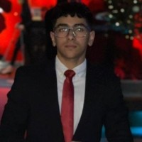 Waleed Shehzad