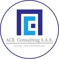 ACE Consulting S.A.S Auditoria y Consultoría Especializada