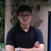 Duc Son Ngo