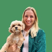 🌱Jayne Ingram-Roberts, Cpa, Ca