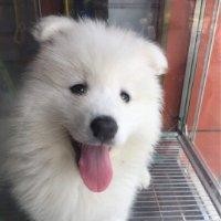 刘玉立