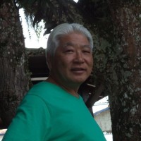 Nelson Shigueaki