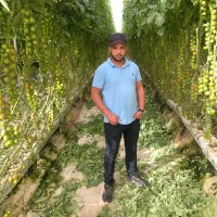 Salah Bougdi