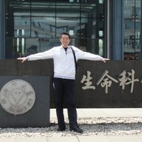 陈晓锋