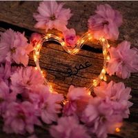 Shaimaa Ahmad