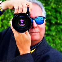 Tom Stepp