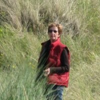 Martine Pauwels