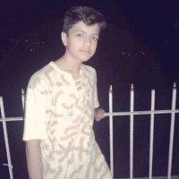 Abdul Ark